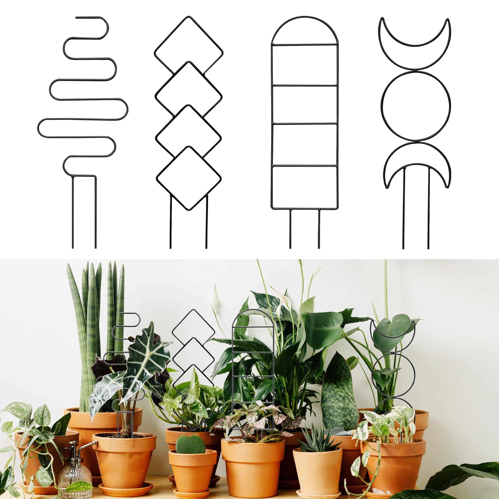 HASTHIP Metal Trellis for Climbing Plant - 4Pcs Trellis for Potted Plants - Creeper Plant Support Decorative - Climbing Trellis for Plant Pots - Outdoor/Indoor Vines Plant Trellis for Flower Pot HASTHIP Metal Trellis for Climbing Plant - 4Pcs Trellis for Potted Plants - Creeper Plant Support Decorative - Climbing Trellis for Plant Pots - Outdoor/Indoor Vines Plant Trellis for Flower Pot